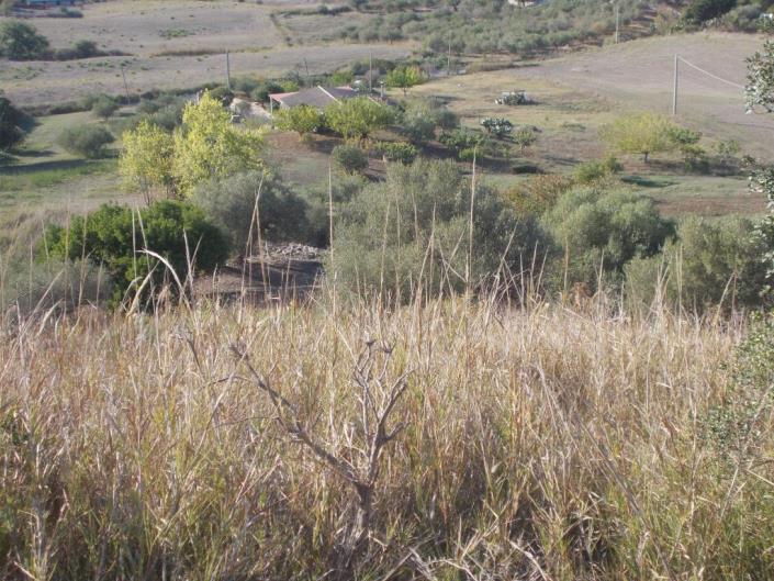 Image No.10-3 Bed Land for sale