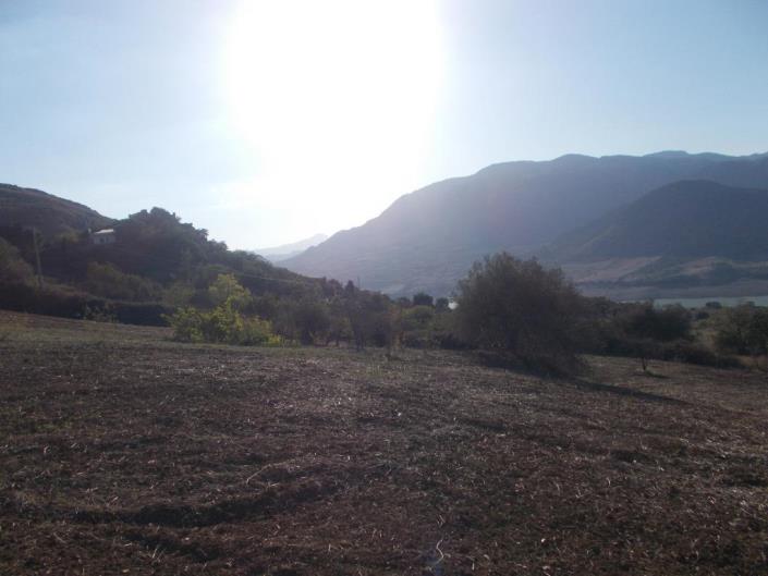 Image No.12-3 Bed Land for sale