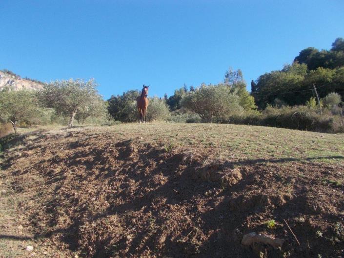 Image No.15-3 Bed Land for sale