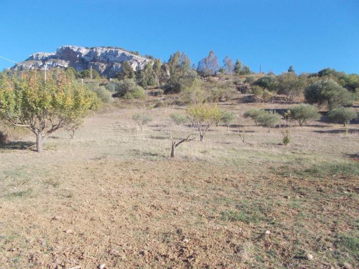 Image No.26-3 Bed Land for sale