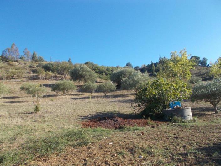 Image No.29-3 Bed Land for sale
