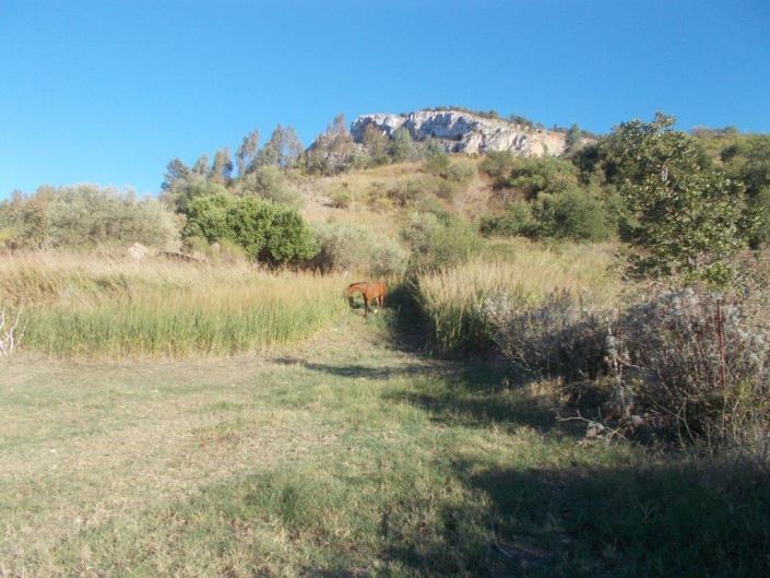 Image No.41-3 Bed Land for sale