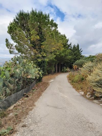 Image No.2-3 Bed Villa for sale