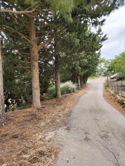 Image No.5-3 Bed Villa for sale