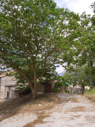 Image No.6-3 Bed Villa for sale