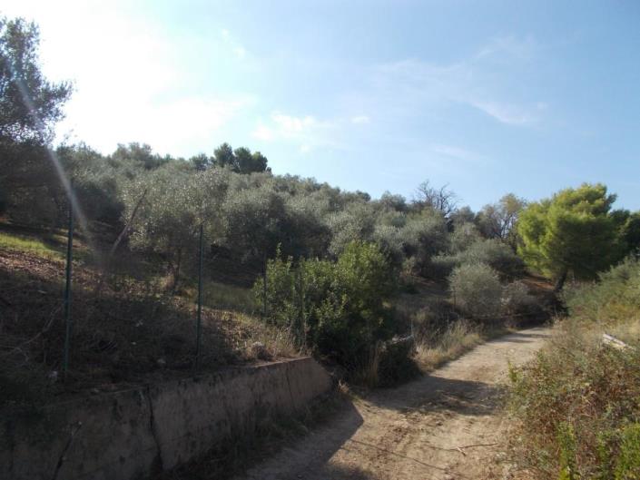 Image No.9-3 Bed Villa for sale