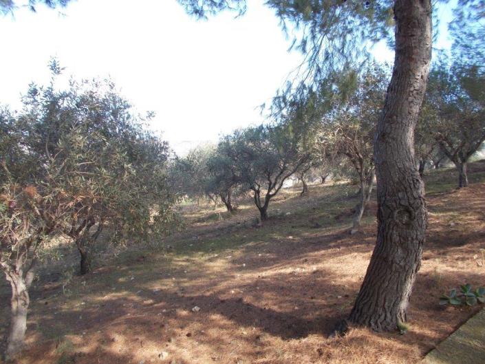 Image No.19-3 Bed Villa for sale