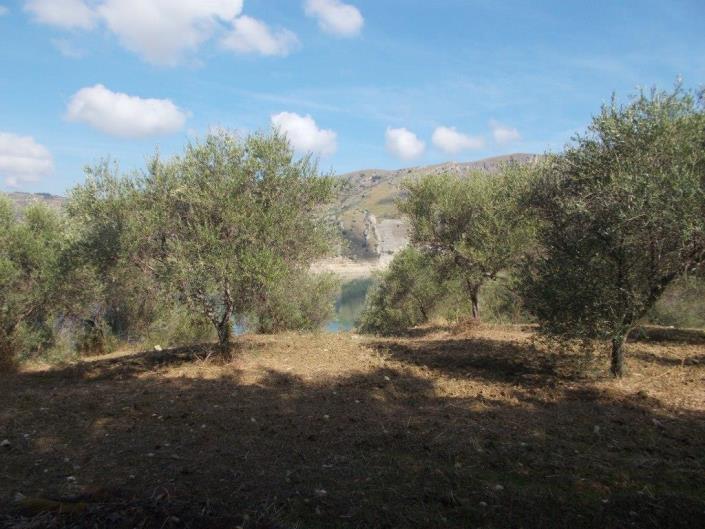 Image No.22-3 Bed Villa for sale