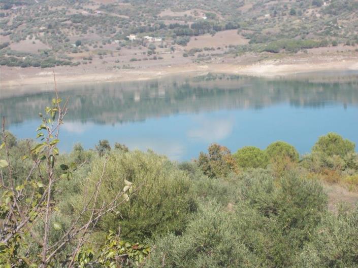 Image No.35-3 Bed Villa for sale