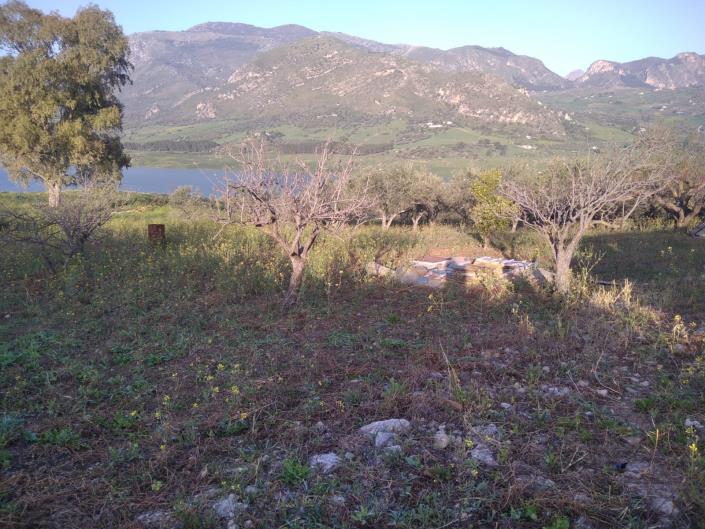 Image No.11-1 Bed Villa for sale