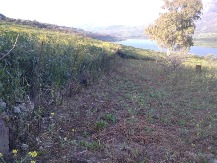 Image No.12-1 Bed Villa for sale