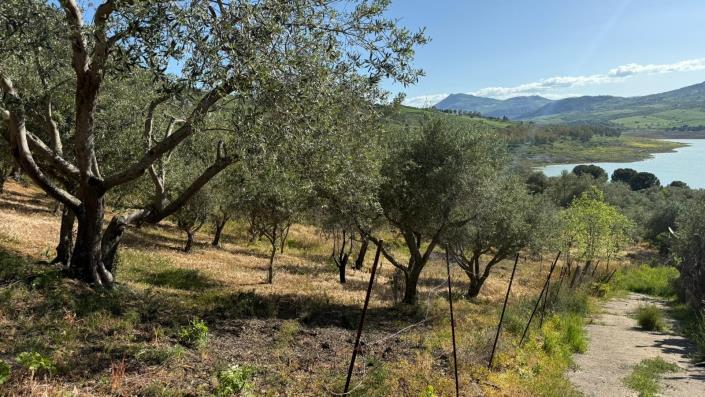 Image No.9-3 Bed Villa for sale