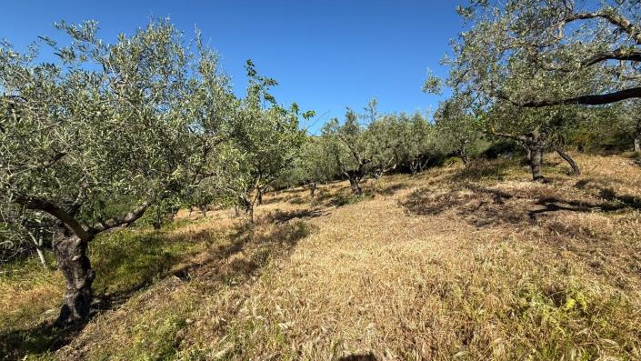 Image No.14-3 Bed Villa for sale