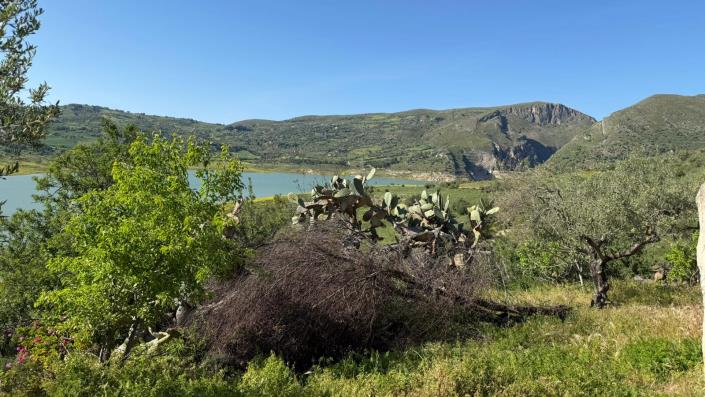 Image No.24-3 Bed Villa for sale