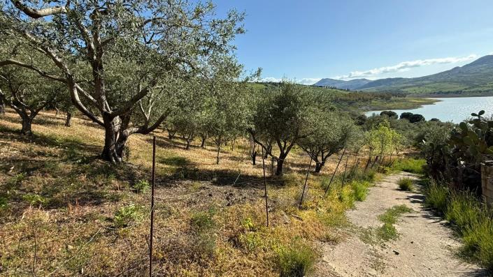 Image No.27-3 Bed Villa for sale