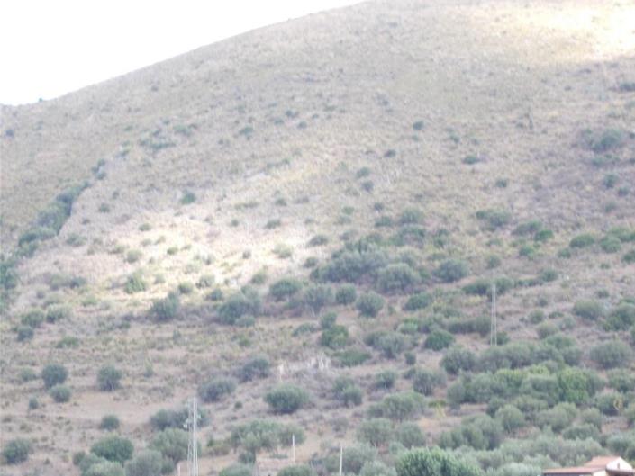 Image No.31-2 Bed Villa for sale