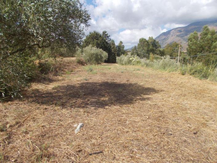 Image No.35-2 Bed Villa for sale