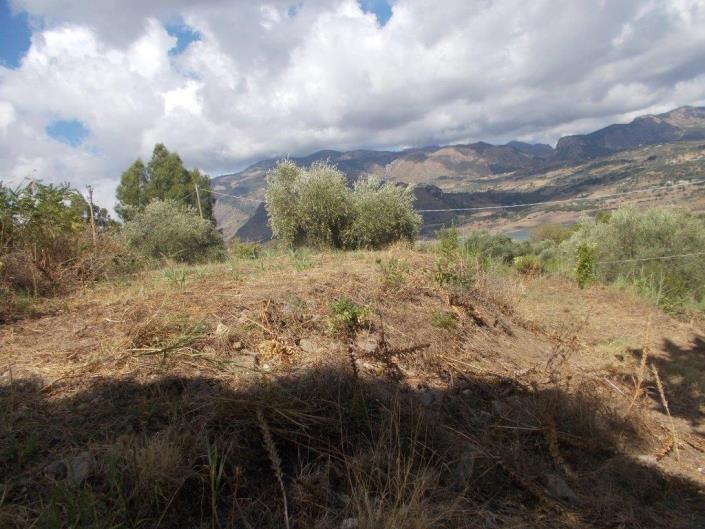 Image No.38-2 Bed Villa for sale