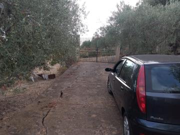 Scacciaferro-G---Ci--5-