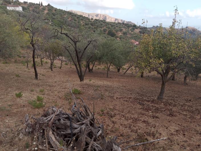 Image No.21-3 Bed Villa for sale