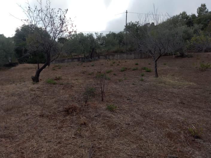 Image No.32-3 Bed Villa for sale