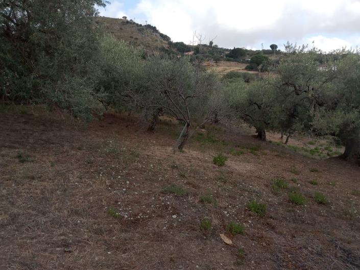 Image No.35-3 Bed Villa for sale