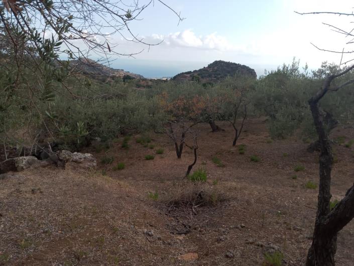 Image No.37-3 Bed Villa for sale