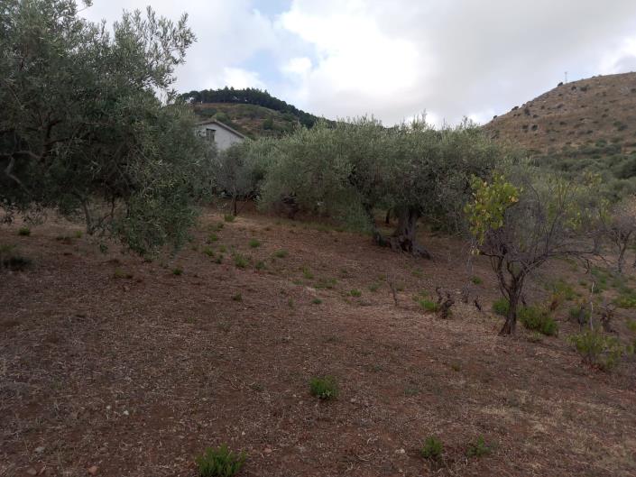 Image No.41-3 Bed Villa for sale