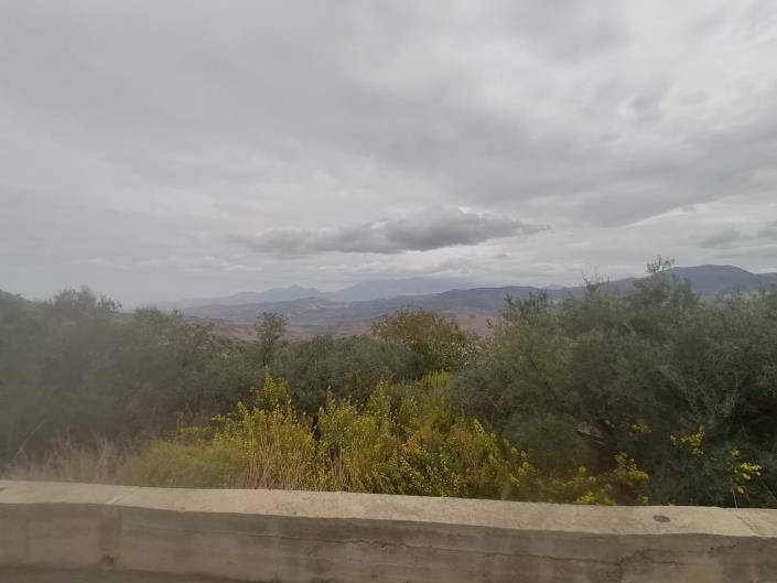 Image No.3-4 Bed Villa for sale