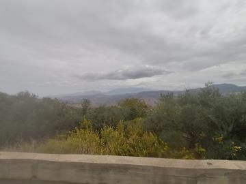 Ventura-Pietro---Ci---2-