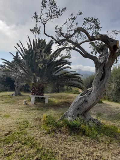 Image No.60-6 Bed Villa for sale