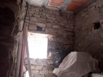 Lodino-Mario---Ci---7-