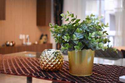 PHOTO-2025-10-09-22-22-41