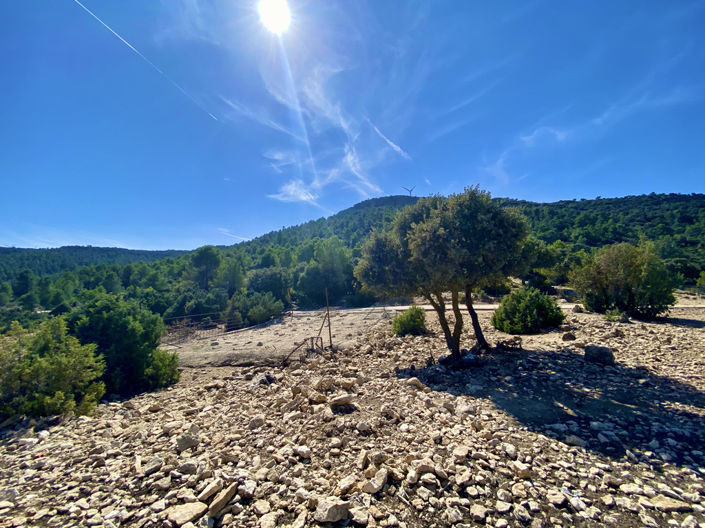 Image No.28-Finca de 5 chambres à vendre à Ayora