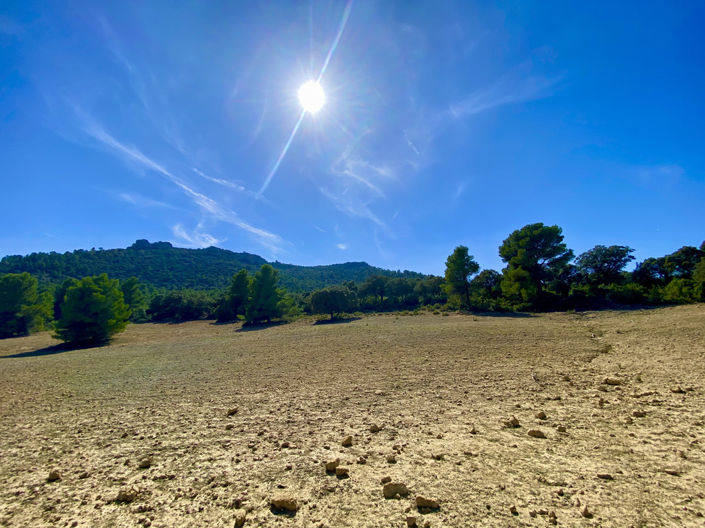 Image No.3-Finca de 5 chambres à vendre à Ayora