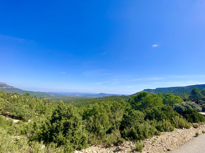 Image No.30-Finca de 5 chambres à vendre à Ayora