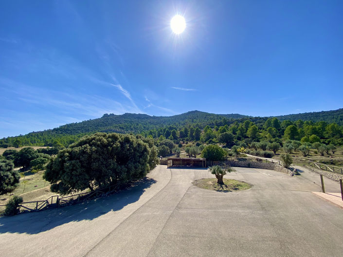 Image No.4-Finca de 5 chambres à vendre à Ayora