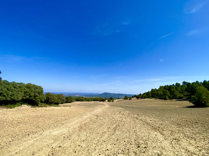Image No.6-Finca de 5 chambres à vendre à Ayora