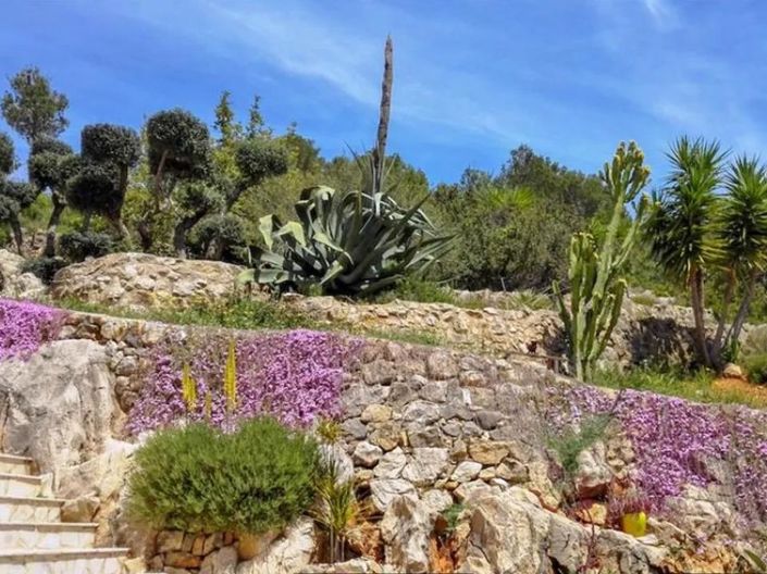 Image No.15-4 Bed Finca for sale