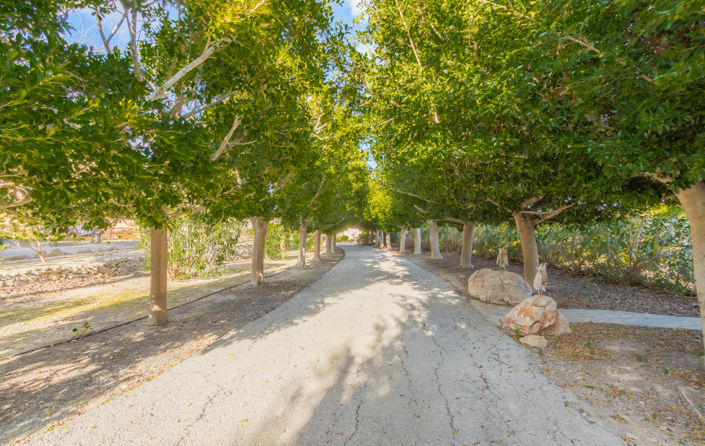 Image No.42-5 Bed Villa for sale