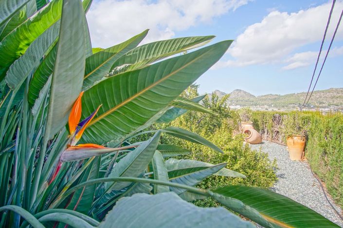 Image No.34-4 Bed Villa for sale