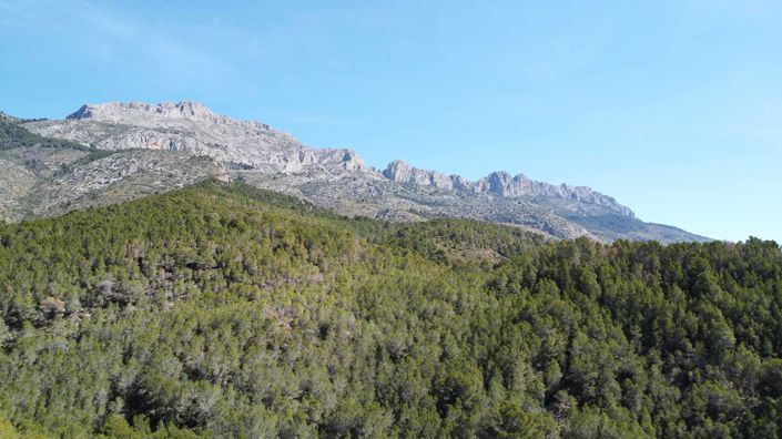 Image No.42-3 Bed Villa for sale