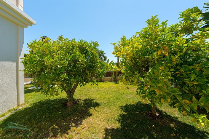 Image No.6-3 Bed Villa for sale