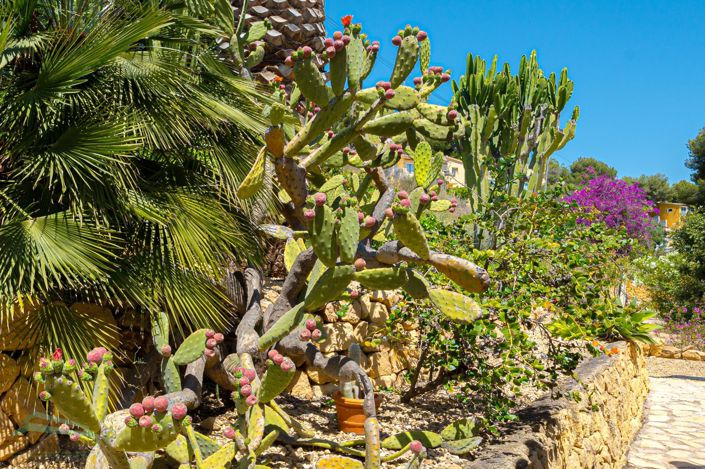 Image No.9-3 Bed Villa for sale