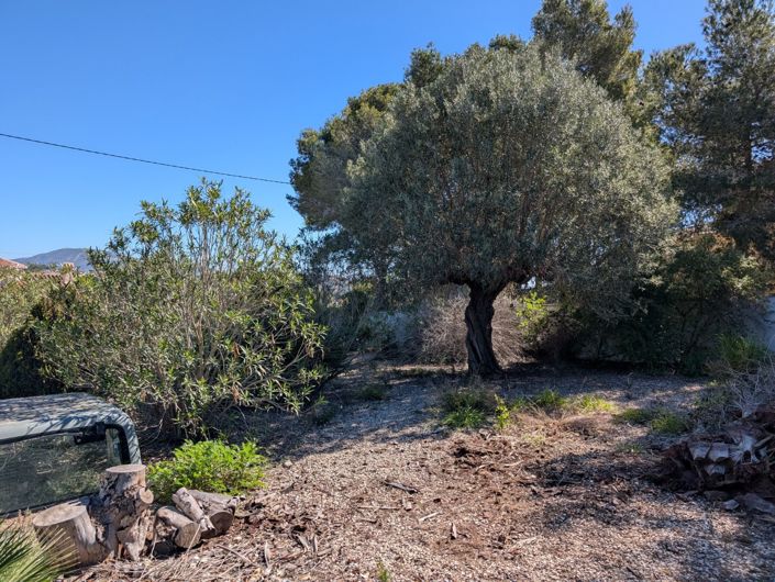 Image No.5-Land for sale