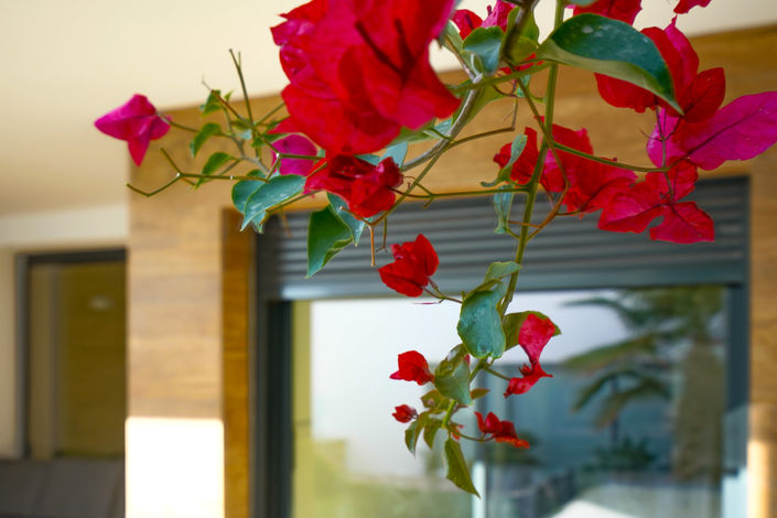 Image No.25-2 Bed Apartment for sale