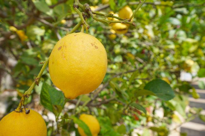 Image No.38-3 Bed Villa for sale