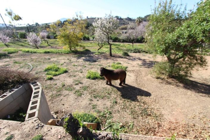 Image No.40-6 Bed Villa for sale