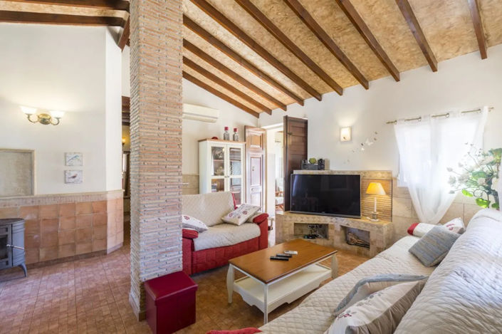 Image No.41-10 Bed Finca for sale