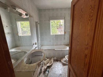 b591d62b-c5c4-48ac-a0f8-cca398763f20-whatsapp